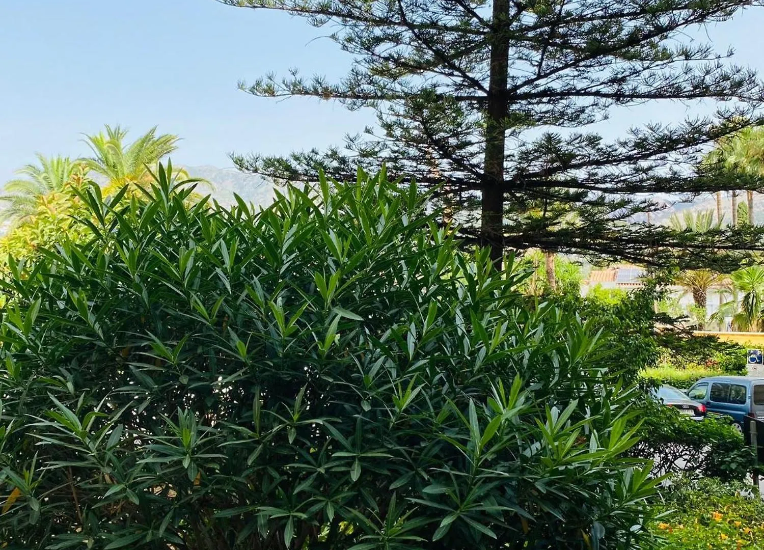 Terrazas Del Sol Apartment Fuengirola
