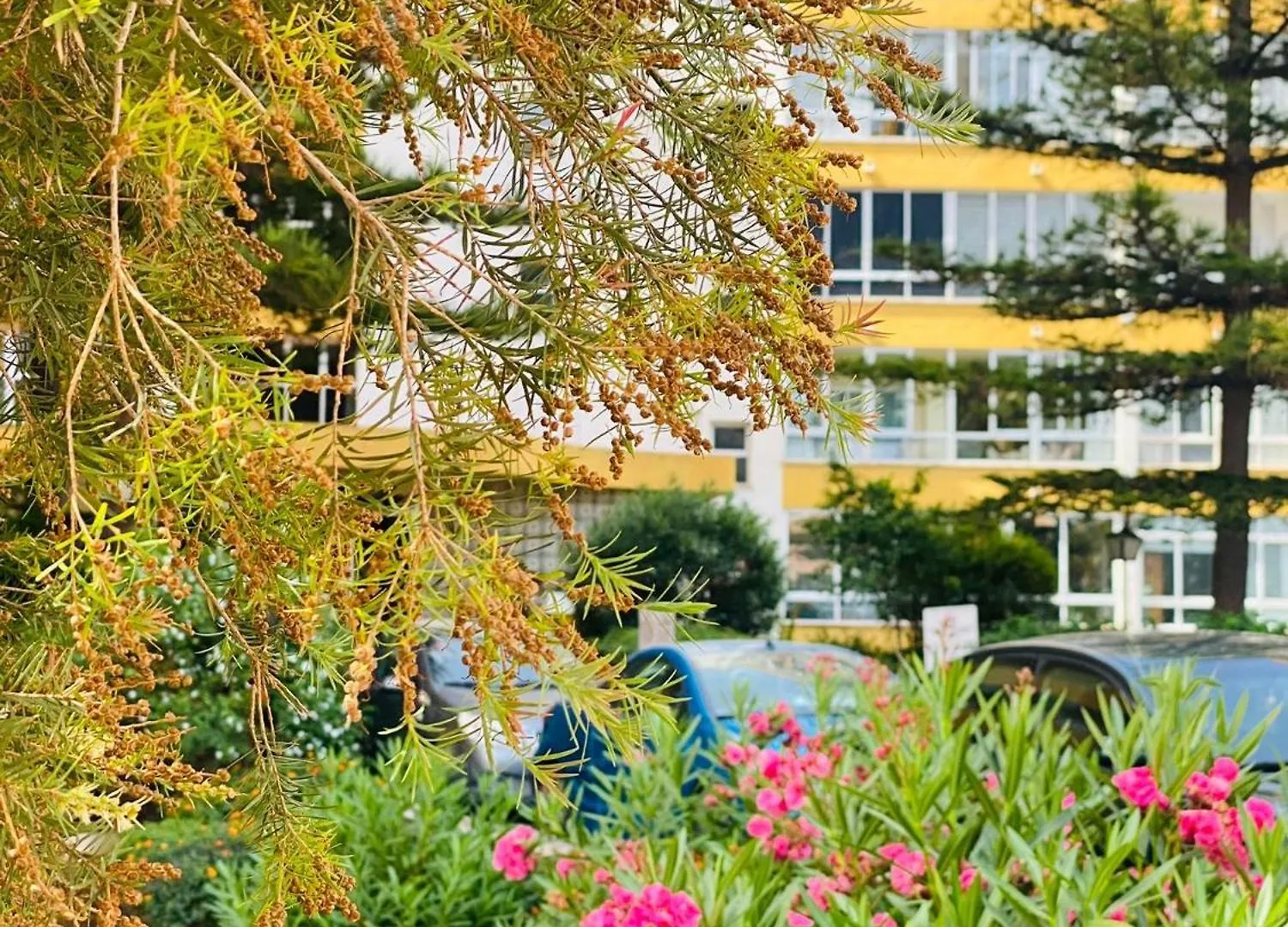 Terrazas Del Sol Apartment Fuengirola