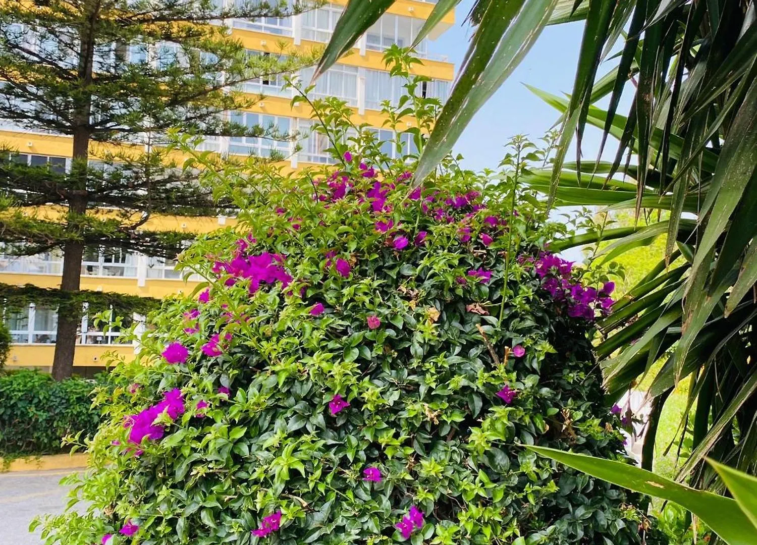 Terrazas Del Sol Apartment Fuengirola Spain
